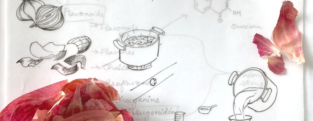 Colours of Onion&nbsp;skins