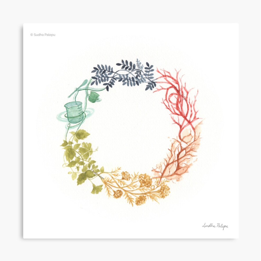 Natural Pigments Colour&nbsp;Wheels