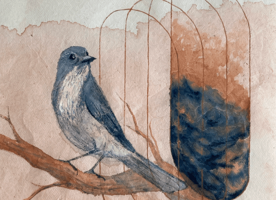The Context: California Scrub-Jay in the&nbsp;Palisades