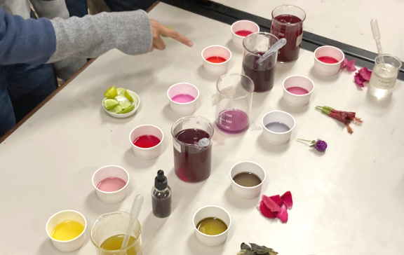 City as a Colour Lab:&nbsp;Ahmedabad